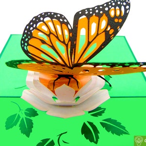 Monarch Butterfly, Pop Up Card, 3D Popup Greeting Cards - Unikatowa, poświęcona, ręcznie robiona/sercowa sztuka. Projekt karty okolicznościowej na każdą okazję