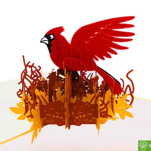 Uccello cardinale, biglietto pop-up, biglietti d'auguri pop-up 3D - Arte unica dedicata fatta a mano/fatta a cuore. Biglietto d'auguri di design per tutte le occasioni