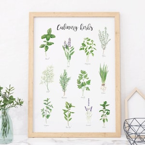 Kitchen herbs print. Watercolor culinary herbs wall art. Cooking herbs chart. Farmhouse Kitchen printable wall art. Plant Herb Spice Print.