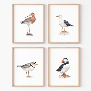 Set di 4 stampe personalizzate di uccelli costieri. Arte murale con uccelli da spiaggia ad acquerello. Galleria murale con uccelli marini. Dipinto di uccelli costieri. Decorazione artistica di cottage sulla spiaggia.