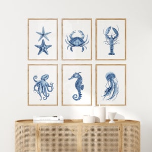 Sea life prints set of 6. Blue coastal ocean life wall art. Navy blue nautical bathroom printable art. Crustaceancore digital art. Beach art