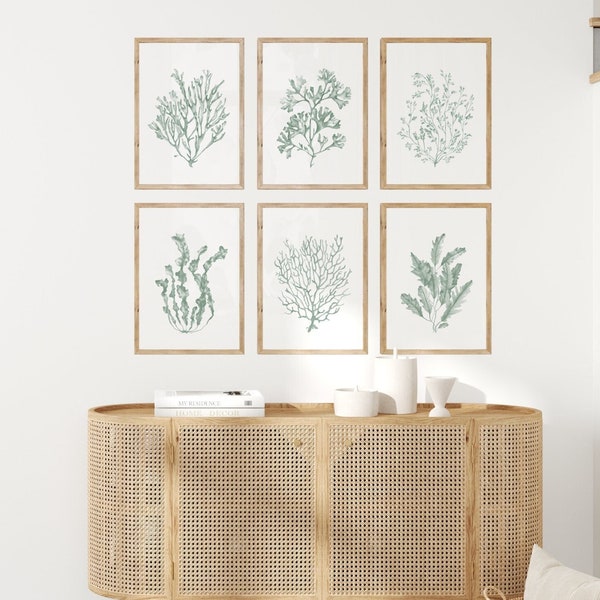 Sage green seaweeds corals prints set of 6. Coastal printable wall art. Watercolor sea art posters. Nautical wall decor. Beach art prints