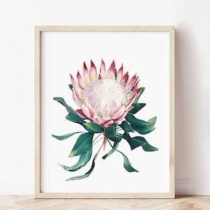 Protea flower print. Floral digital print. Watercolor king protea. Australian native print. Floral wall art. Printable protea art.