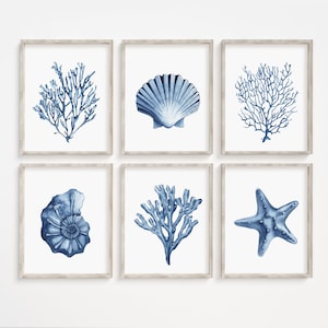 Blue shell prints set of 6. Navy algae, starfish printable wall art. Watercolor coastal prints. Nautical wall art. Beach cottage art prints image 1