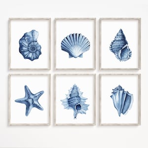 Juego de 6 láminas de arte con conchas marinas. Arte de pared imprimible costero azul marino. Arte de pared de baño de playa. Juego de láminas náuticas. Arte de conchas de vieira