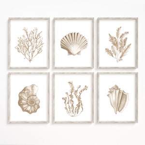Beige seashells corals prints set of 6. Coastal printable wall art. Watercolor Nautical wall decor. Boho beach house art. Hamptons style.