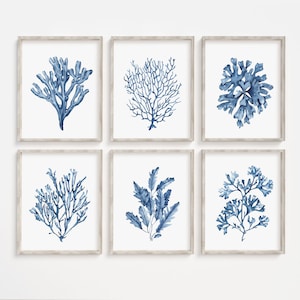 Juego de 6 impresiones de corales y algas azules. Arte de pared imprimible de la costa de la marina. Pósteres de vida marina en acuarela. Decoración de pared náutica. Arte de cabañas de playa