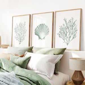 Pode incluir: Três impressões emolduradas com um tema costeiro. As impressões apresentam ilustrações de uma concha, algas e coral em tons de verde.