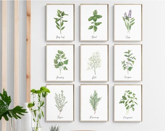 Kitchen Herbs print set of 9. Watercolor culinary herbs. Farmhouse wall decor. Digital download