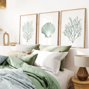 Ensemble de 3 imprimés d'algues coquille de sauge. Art mural imprimable aquarelle sur algues. Imprimés côtiers verts. Art mural nautique. Impression d'art cottage de plage.