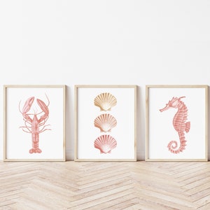 Blush sea life prints set of 3. Coastal chick coral wall art. Seahorse, lobster, scallop shell digital prints.