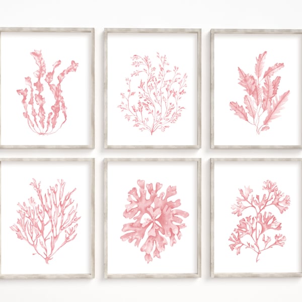 Blush pink seaweeds corals prints set of 6. Pastel coastal printable wall art. Beach house prints.  Watercolor nautical art. Boho wall art