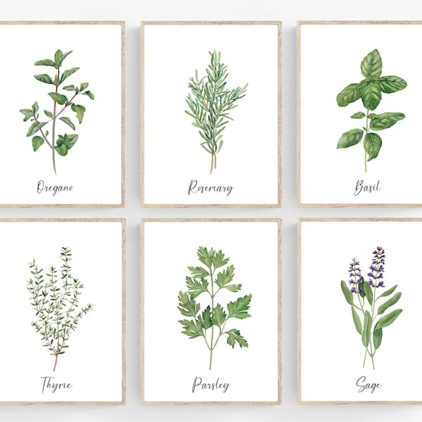 Parsley Sage Rosemary and Thyme Art Print Etsy