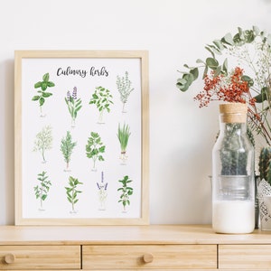 May include: A framed print with the title "Culinary Herbs" and illustrations of various herbs, including basil, thyme, oregano, parsley, chives, and mint. The print is displayed on a wooden shelf with a vase of flowers and a glass jar of milk.