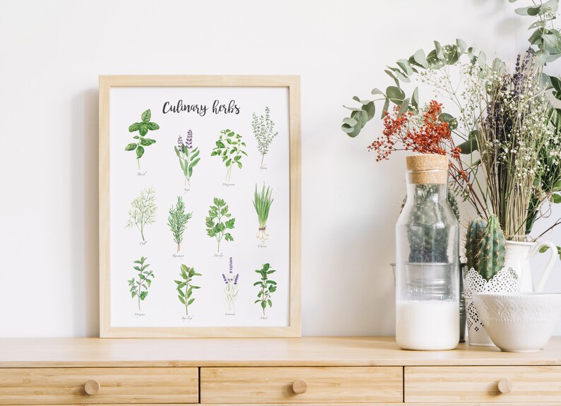 May include: A framed print with the title "Culinary Herbs" and illustrations of various herbs, including basil, thyme, oregano, parsley, chives, and mint. The print is displayed on a wooden shelf with a vase of flowers and a glass jar of milk.