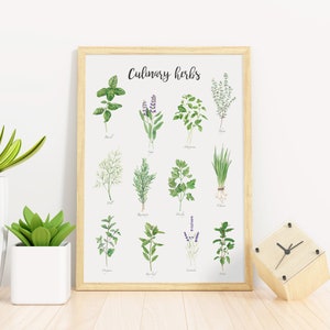 May include: A framed print with the title "Culinary Herbs" featuring illustrations of various herbs, including basil, sage, oregano, thyme, dill, rosemary, parsley, chives, mint, bay leaf, and lavender.