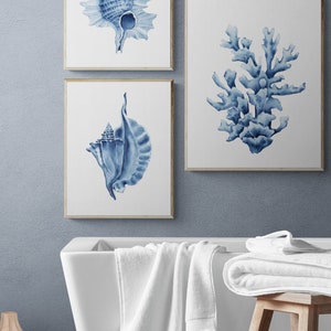 May include: Three framed watercolor prints of seashells and coral in shades of blue on a white background. The prints are hanging on a light blue wall above a white bathtub and a wooden stool with white towels.