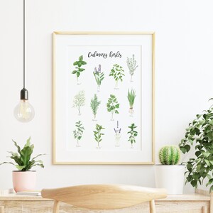 May include: A framed print with the title "Culinary Herbs" featuring watercolor illustrations of various herbs, including basil, sage, thyme, rosemary, dill, parsley, chives, oregano, bay leaf, lavender, and mint.