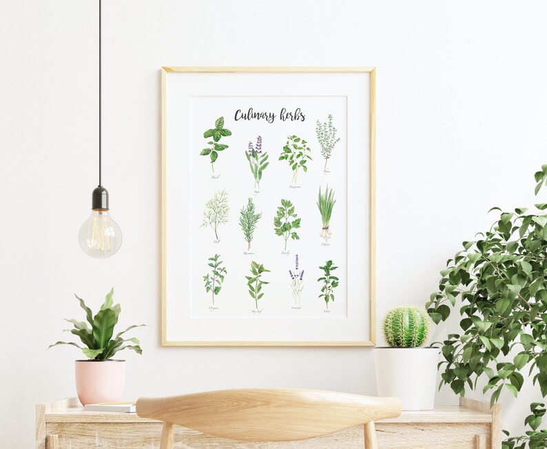 May include: A framed print with the title "Culinary Herbs" featuring watercolor illustrations of various herbs, including basil, sage, thyme, rosemary, dill, parsley, chives, oregano, bay leaf, lavender, and mint.