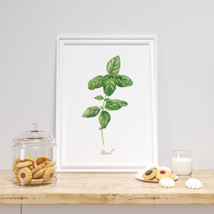 Basil Herb Watercolor Wall Art - Kitchen Decor Print - Culinary Herbs Digital Art. Botanical watercolor print. Restaurant wall decor.