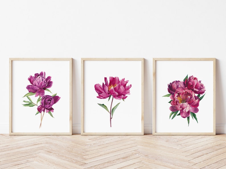 Peonies Printable Wall Art Set of 6. Watercolor Floral Gallery - Etsy
