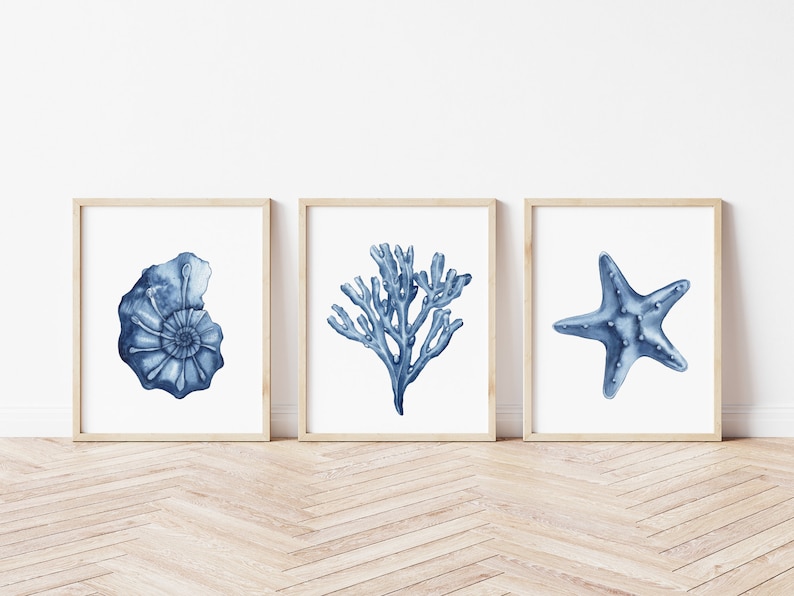 Blue shell prints set of 6. Navy algae, starfish printable wall art. Watercolor coastal prints. Nautical wall art. Beach cottage art prints image 7