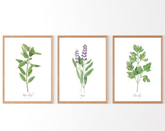 Herbs prints set of 3. Botanical printable wall art. Watercolor culinary herbs. Kitchen wall decor. Plant mom gift. Bay leaf, sage, parsley