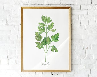 Watercolor parsley herb print. Kitchen wall art. Herbs digital prints. Culinary herbs wall art. Printable parsley art. Greenery wall decor.