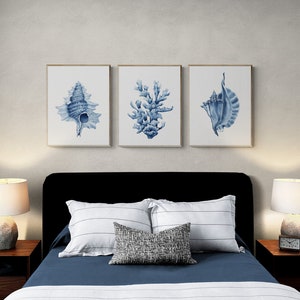 May include: Three framed watercolor prints of blue seashells and coral on a white wall above a black headboard with white and blue striped pillows and a gray and white patterned throw pillow on a bed with a blue duvet and white sheets.