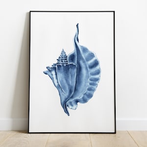 May include: A blue watercolor illustration of a seashell in a black frame. The seashell is a spiral shape with a frilled edge.