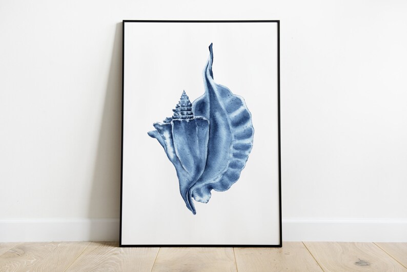 May include: A blue watercolor illustration of a seashell in a black frame. The seashell is a spiral shape with a frilled edge.