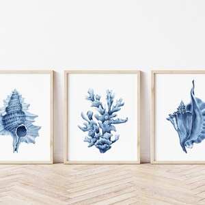 May include: Set of three blue and white watercolor prints featuring a seashell, coral, and a seashell. The prints are framed in natural wood frames and are displayed on a white wall.
