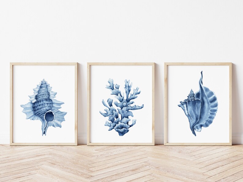 May include: Set of three blue and white watercolor prints featuring a seashell, coral, and a seashell. The prints are framed in natural wood frames and are displayed on a white wall.