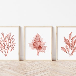 Coral seashells prints set of 6. Coastal printable wall art. Beach house art prints. Watercolor sea life posters. Pink seaweeds nautical art image 5