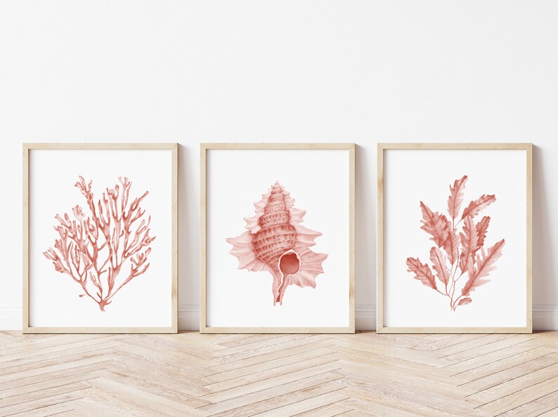 Coral seashells prints set of 6. Coastal printable wall art. Beach house art prints. Watercolor sea life posters. Pink seaweeds nautical art image 5