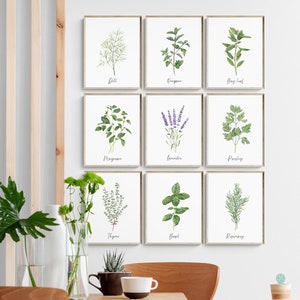 Op de afbeelding: Een set van negen printbare kunstprints met aquarel illustraties van verschillende kruiden, waaronder dille, oregano, laurierblad, rozemarijn, tijm, basilicum, lavendel, peterselie en marjolein. Elke print heeft de naam van het kruid onder de illustratie.