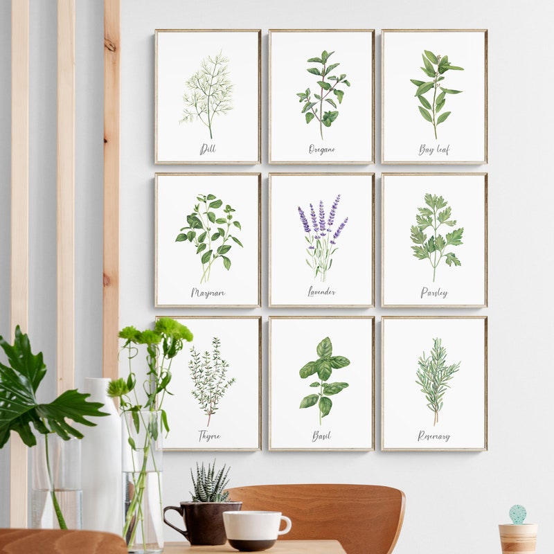 Watercolor Herbs - Etsy