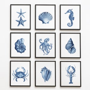 Sea life prints set of 9. Navy blue coastal printable wall art. Watercolor seashells, octopus, seahorse, crab posters. Crustaceancore art