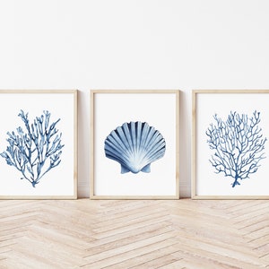 Blue shell prints set of 6. Navy algae, starfish printable wall art. Watercolor coastal prints. Nautical wall art. Beach cottage art prints image 8