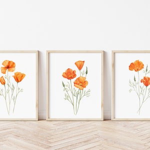 Conjunto de 3 impresiones de amapolas de California en acuarela. Arte de pared imprimible con flores silvestres amarillas. Decoración de pared de estilo rústico. Pósteres florales de color naranja. Arte de amapolas