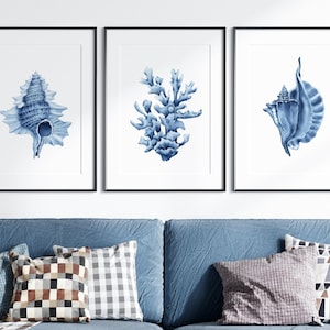 May include: Three framed prints with blue watercolor illustrations of seashells and coral. The prints are in black frames and are hung on a white wall.