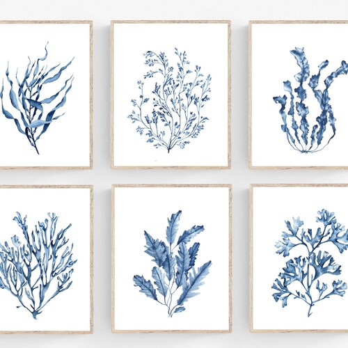 Blue Seaweeds Corals Prints Set of 6. Coastal Printable Wall - Etsy