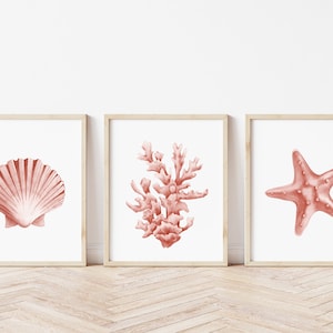 Coral seashells prints set of 6. Coastal printable wall art. Beach house art prints. Watercolor sea life posters. Pink seaweeds nautical art image 6