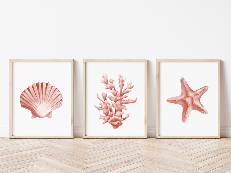 Coral seashells prints set of 6. Coastal printable wall art. Beach house art prints. Watercolor sea life posters. Pink seaweeds nautical art image 6
