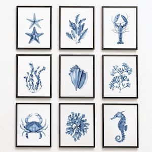 Set di 9 stampe digitali blu navy di corallo e alghe. Conchiglia acquerellata, cavalluccio marino, aragosta, granchio. Arte murale costiera. Decorazioni nautiche per case al mare.