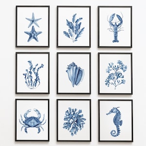 Set of 9 navy blue coral, seaweed digital prints. Watercolor seashell, seahorse, lobster, crab. Coastal wall art. Beach house nautical decor