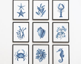 Set di 9 stampe digitali di corallo blu navy e alghe marine. Conchiglia dell'acquerello, cavalluccio marino, aragosta, granchio. Arte della parete costiera. Arredamento nautico per la casa al mare