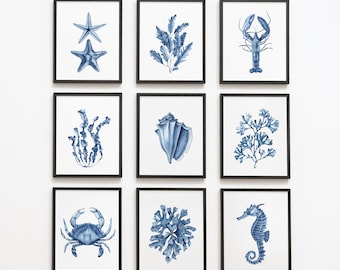 Set of 9 navy blue coral, seaweed digital prints. Watercolor seashell, seahorse, lobster, crab. Coastal wall art. Beach house nautical decor