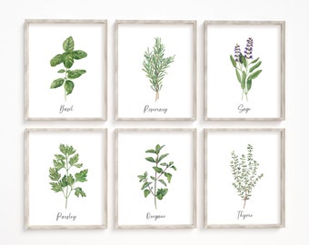 Juego de 6 impresiones de hierbas para la cocina. Hierbas para imprimir. Acuarela: albahaca, romero, salvia, perejil, orégano, tomillo. Decoración de pared para cocina de estilo rústico.