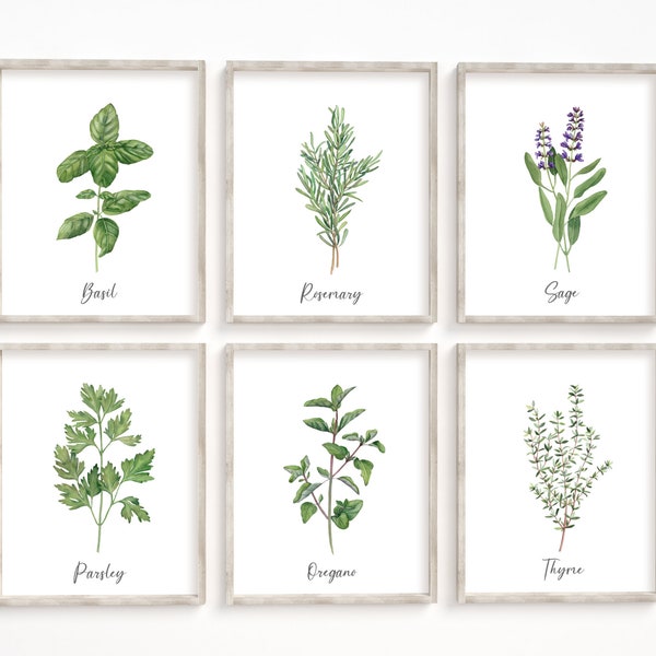 Kitchen herbs prints set of 6. Herbs printable. Watercolor basil, rosemary, sage, parsley, oregano, thyme. Farmhouse kitchen wall decor.